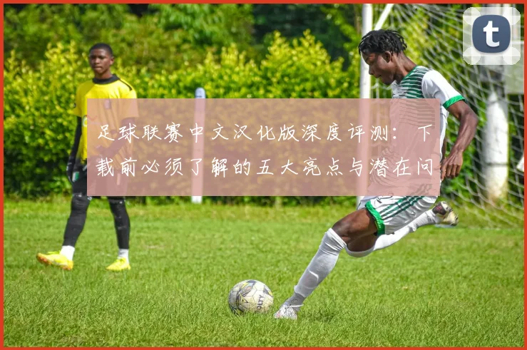 足球联赛中文汉化版深度评测：下载前必须了解的五大亮点与潜在问题